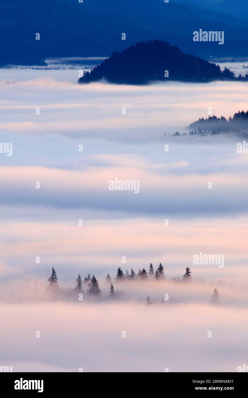 Willamette Valley nebbia dal vertice, Spencer Butte Park, Eugene, Oregon Foto Stock