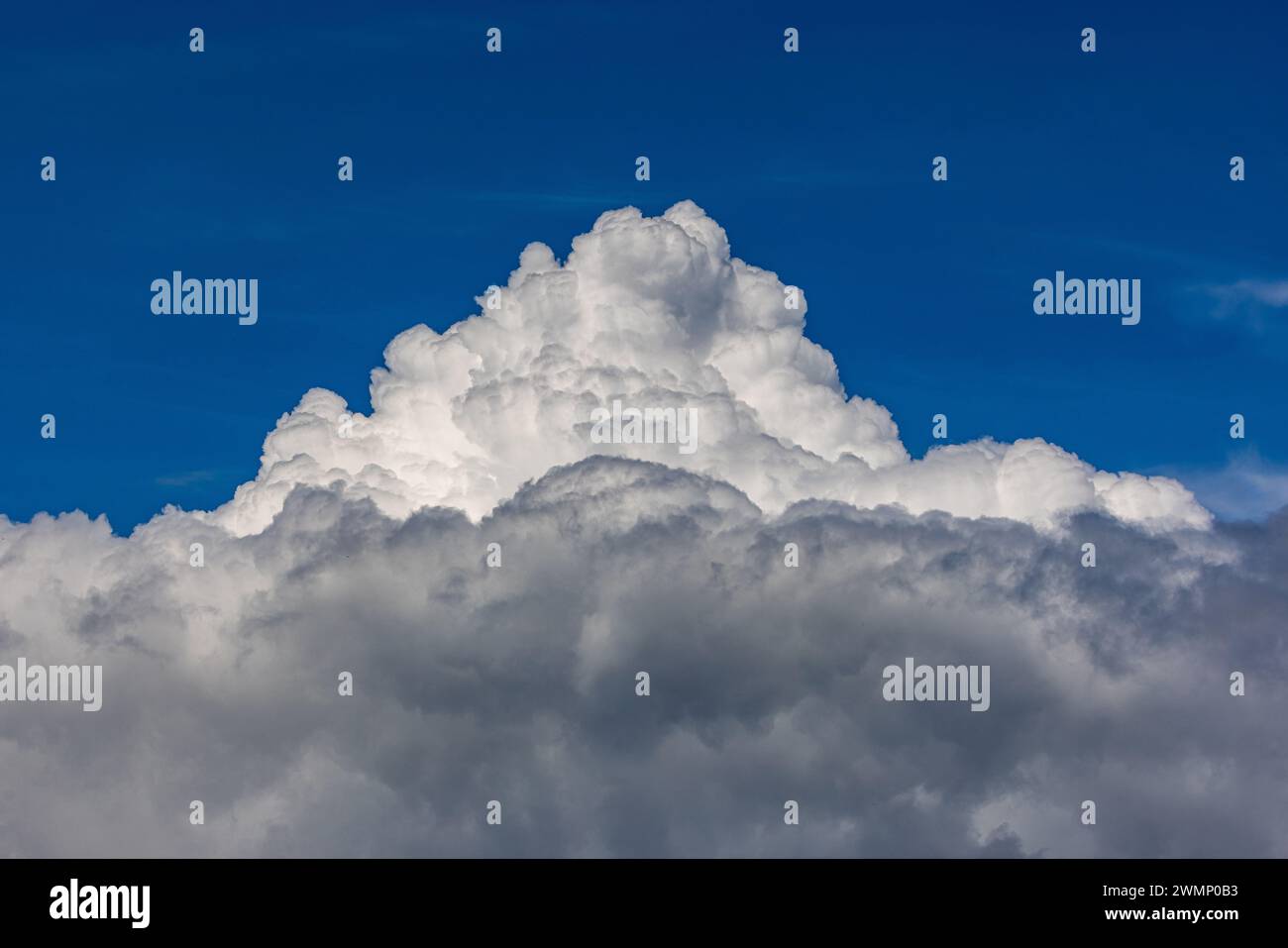 Cumulus Congestus Wolken über dem Schwarzwald bäumen sich in Die Höhe. (Oberglatt, Schweiz, 12.05.2023) Foto Stock