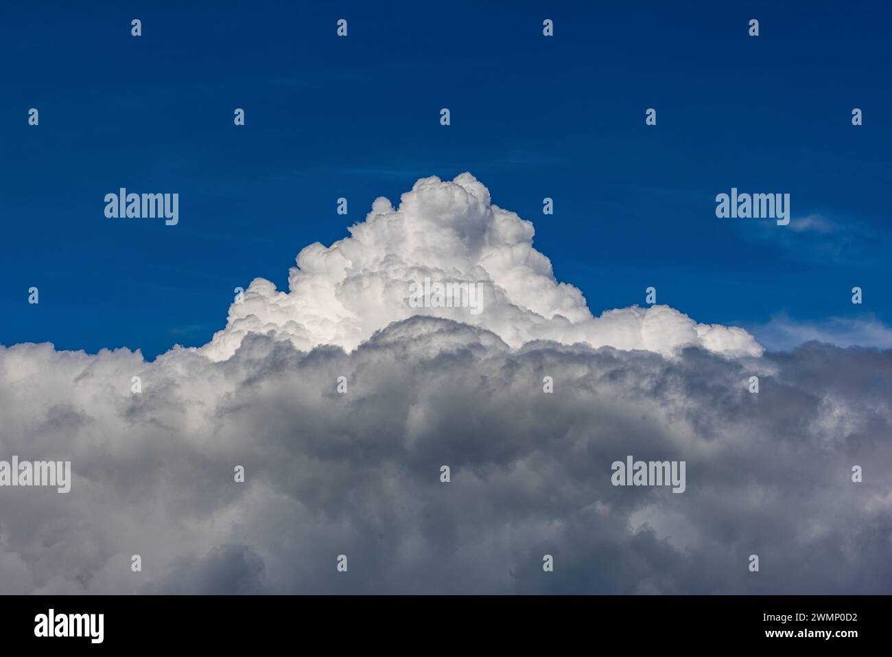 Cumulus Congestus Wolken über dem Schwarzwald bäumen sich in Die Höhe. (Oberglatt, Schweiz, 12.05.2023) Foto Stock