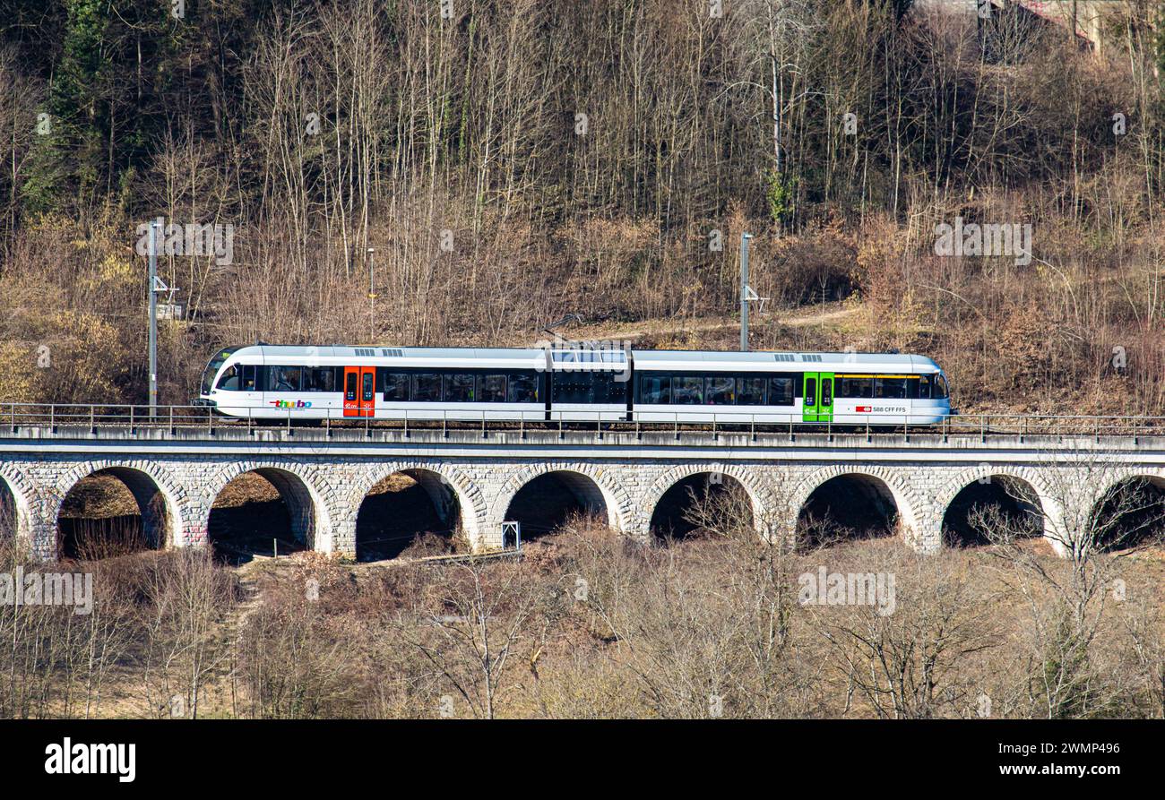 Ein Zug der firma Thurbo ein Stadler Gelenkstriebwagen GTW fährt auf einem kleinen Viadukt oberhalb des Rheinfalls. (Laufen-Uhwiesen, Schweiz, 03.02.2 Foto Stock