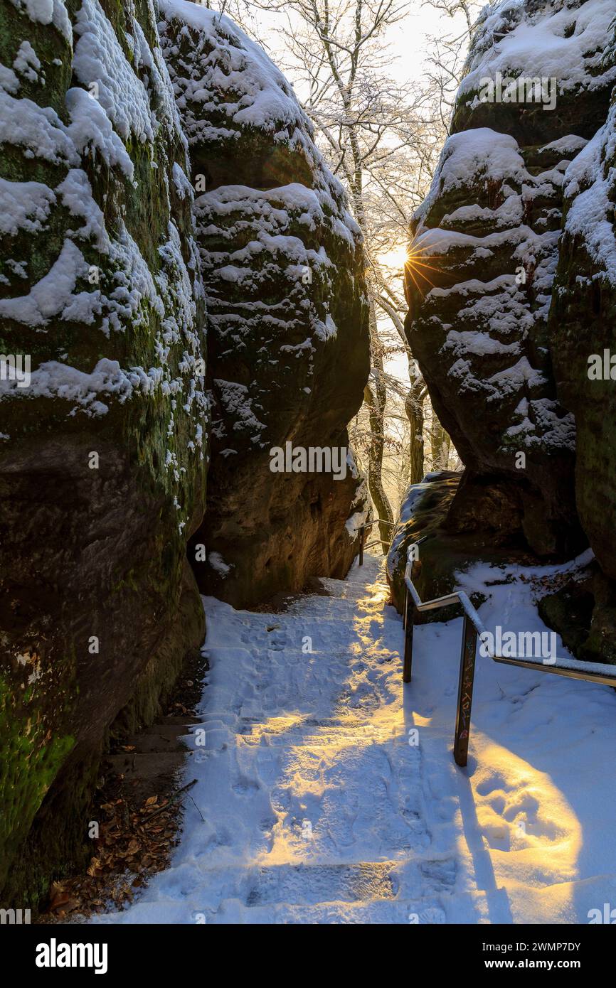 Verschneiter Wanderweg zwischen Felsen bei Morgensonne, Bastei, Sächsische Schweiz, Sachsen, Deutschland *** percorso escursionistico innevato tra le rocce nel m Foto Stock