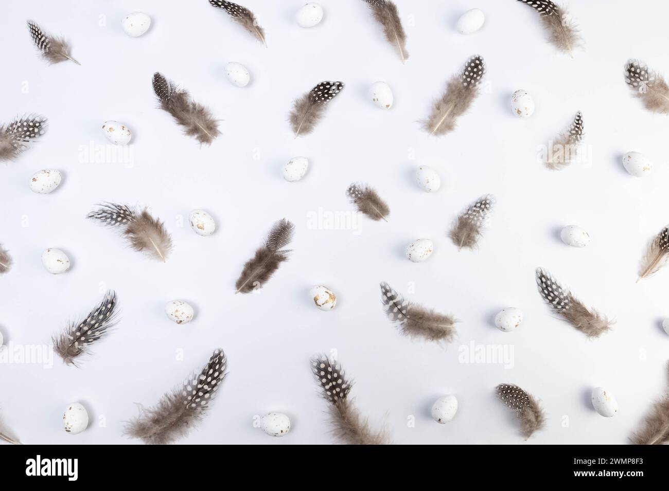 Vista dall'alto di piume marroni, uova di pasqua bianche su sfondo bianco. Composizione creativa pasquale, primavera, spazio copia, piatto. Foto Stock