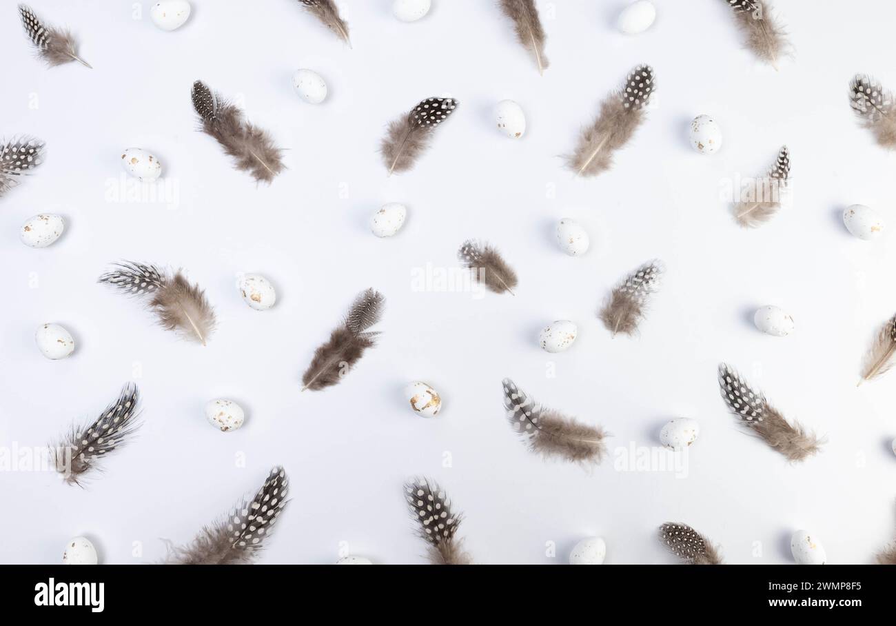 Vista dall'alto di piume marroni, uova di pasqua bianche su sfondo bianco. Composizione creativa pasquale, primavera, spazio copia, piatto. Foto Stock
