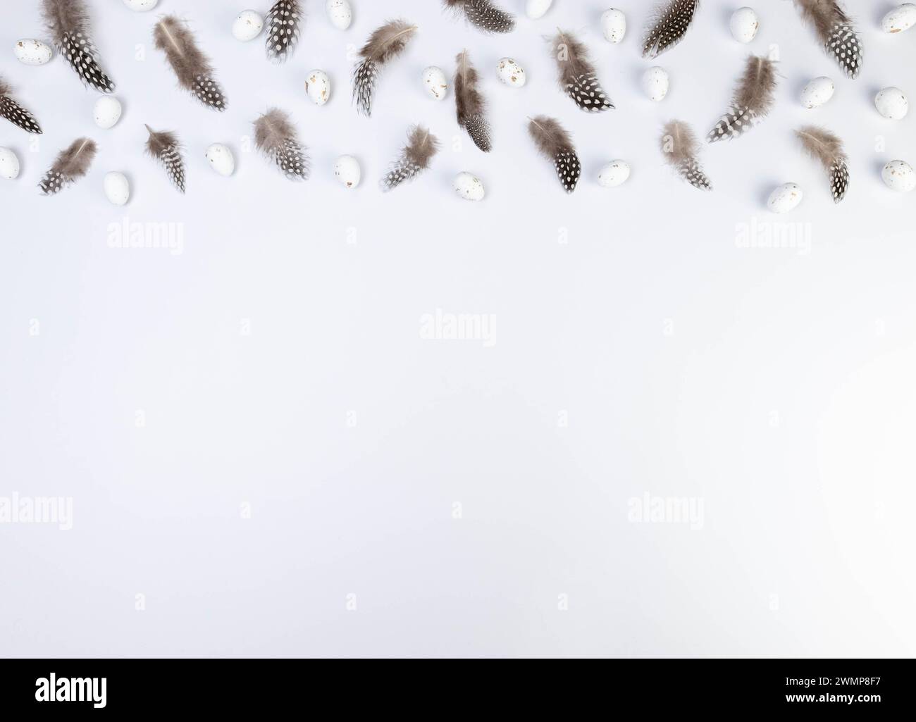 Vista dall'alto di piume marroni, uova di pasqua bianche su sfondo bianco. Composizione creativa pasquale, primavera, spazio copia, piatto. Foto Stock