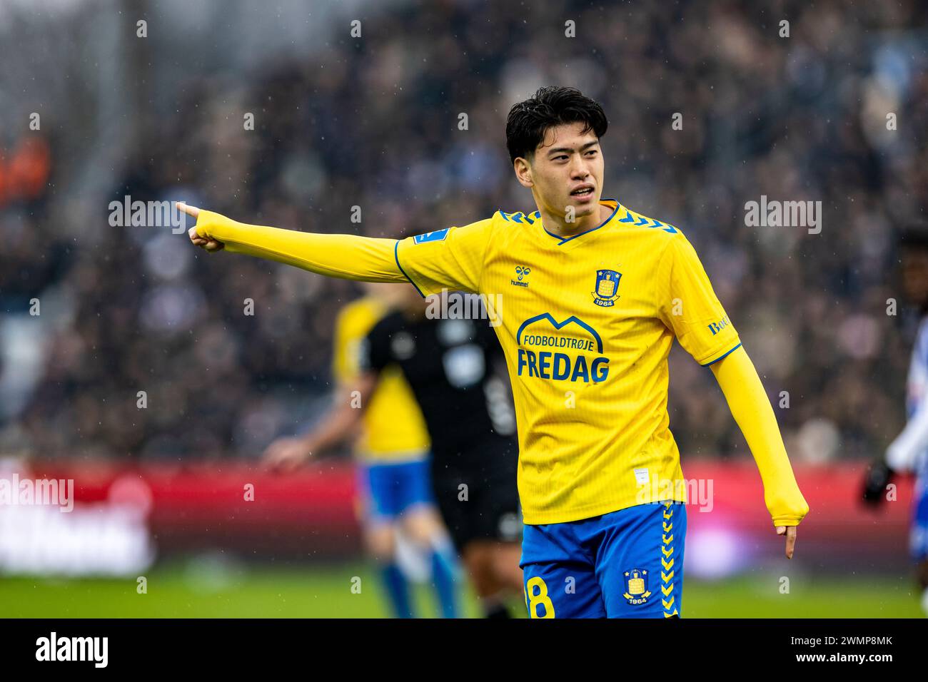 Odense, Danimarca. 25 febbraio 2024. Yuito Suzuki (28) di Broendby SE visto durante il 3F Superliga match tra Odense BK e Broendby IF al Nature Energy Park di Odense. (Foto: Gonzales Photo - Teis Markfoged). Foto Stock