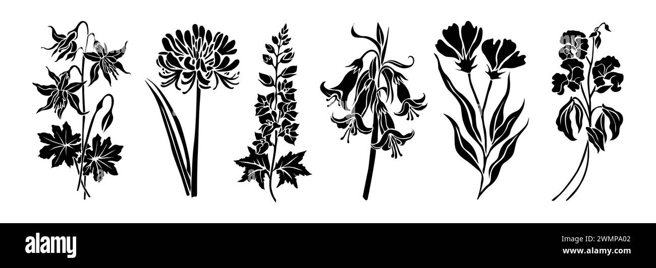 Set di fiori selvatici e foglie sagome. Illustrazione Vettoriale