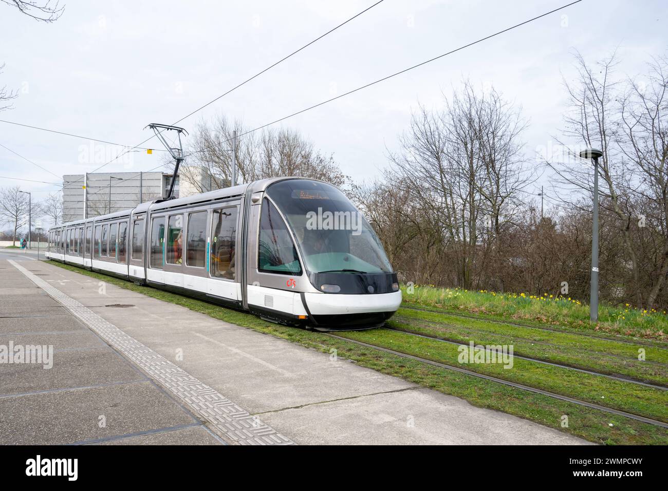 Straßenbahn im Frühling , symbole, Frankreich, , Straßburg, , 27.02.2024, moderne Straßenbahn fährt auf Schienen neben Frühlingsblumen. *** Tram in primavera , simboli, Francia, , Strasburgo, , 27 02 2024, il moderno tram corre su rotaie accanto ai fiori primaverili Foto Stock