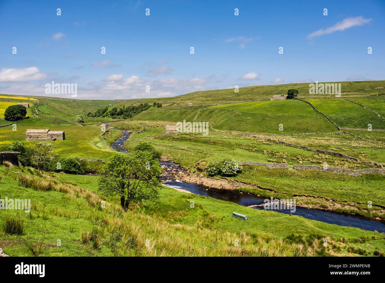 Paesaggio rurale con fienili sul fiume Swale nell'Upper Swaledale, Yorkshire Dales National Park, North Yorkshire, Inghilterra, Regno Unito, Gran Bretagna, Europa Foto Stock