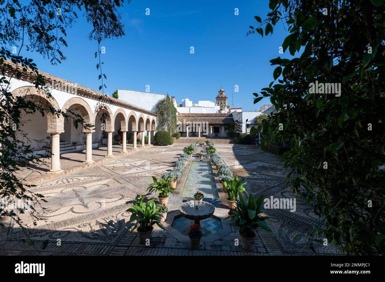 Uno dei più grandi dei dodici patii (cortili) con un lungo stagno a forma oblunga è il Patio de las Columnas (cortile delle colonne) al Pal Foto Stock