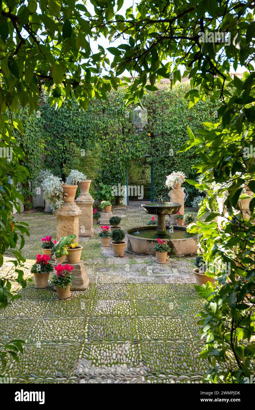 Patio de las Rejas. (Cortile dei bar) è uno dei suoi dodici patii (cortili) presso il Palacio de Viana (Palazzo di Viana), un "Museo dei patii" Foto Stock