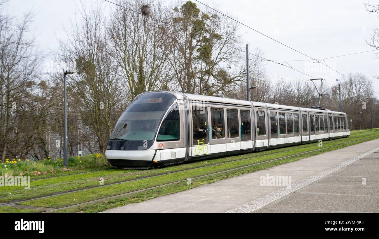 , Symbole, Frankreich, , Straßburg, , 27.02.2024, moderne Straßenbahn fährt auf Schienen neben Frühlingsblumen. Foto Stock