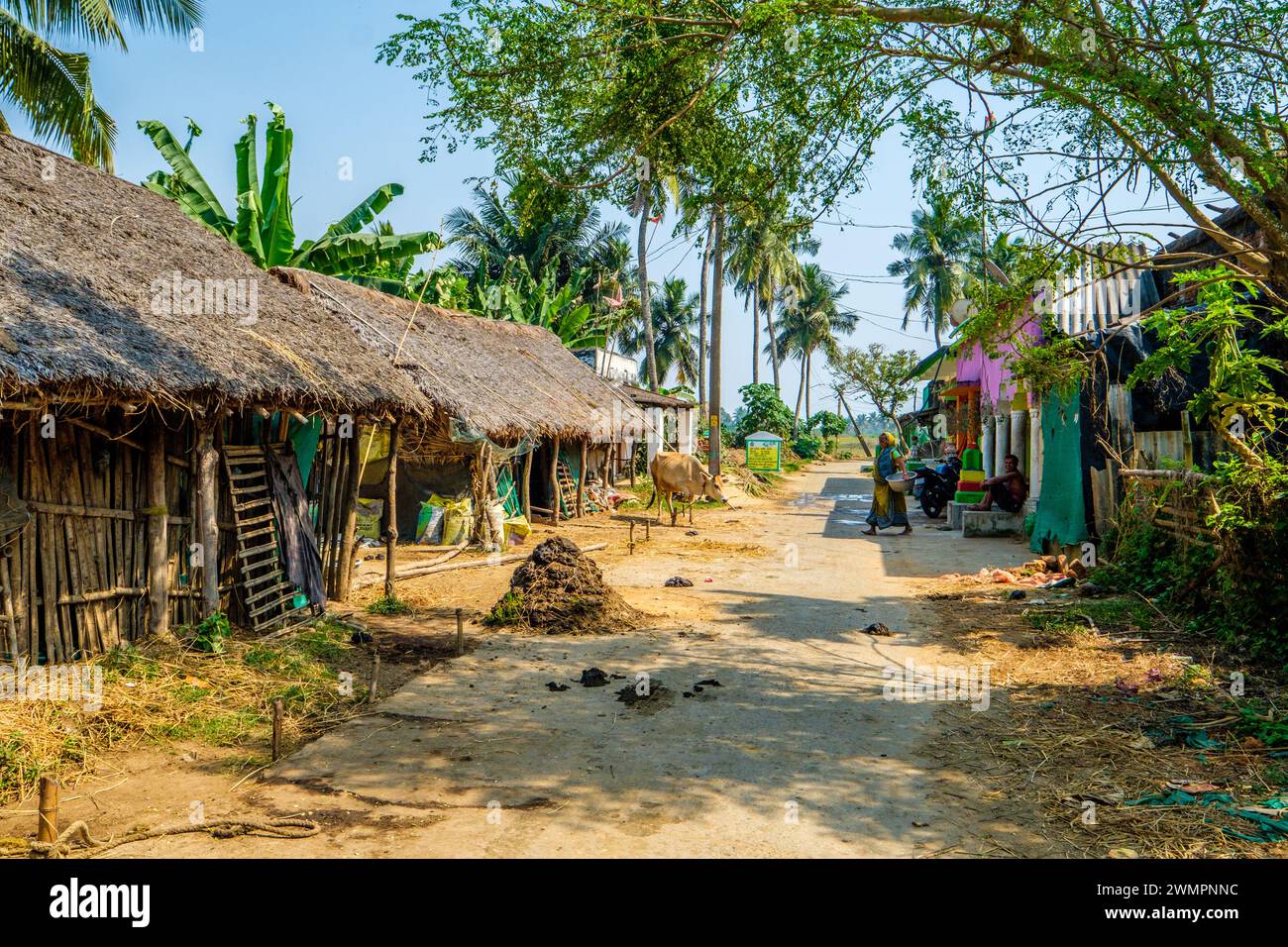 Un villaggio agricolo nell'Orissa rurale in India Foto Stock