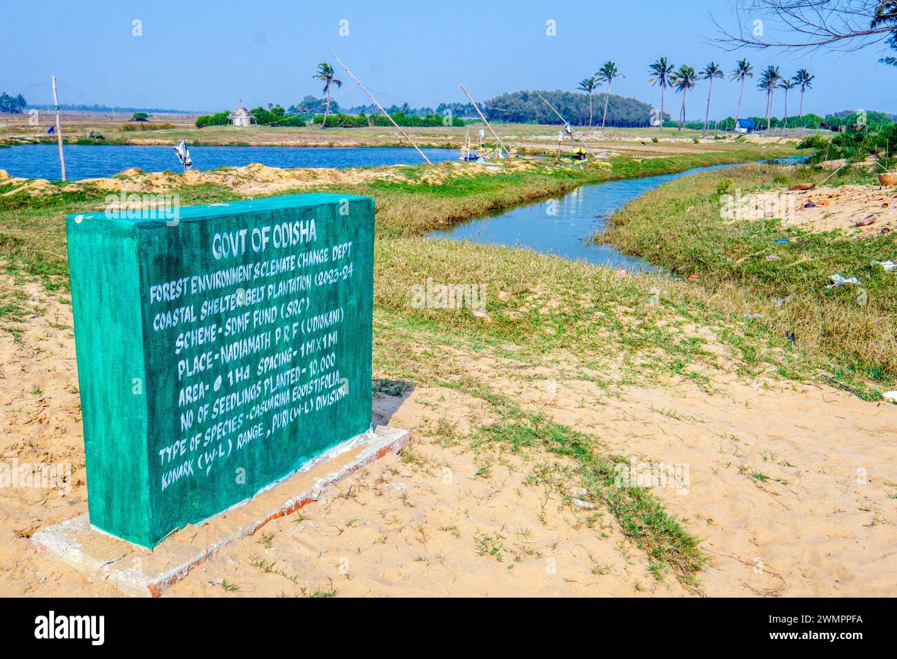 Lavori di difesa costiera che comportano la piantagione di alberi sulla costa di Orisa / Orissa, India Foto Stock