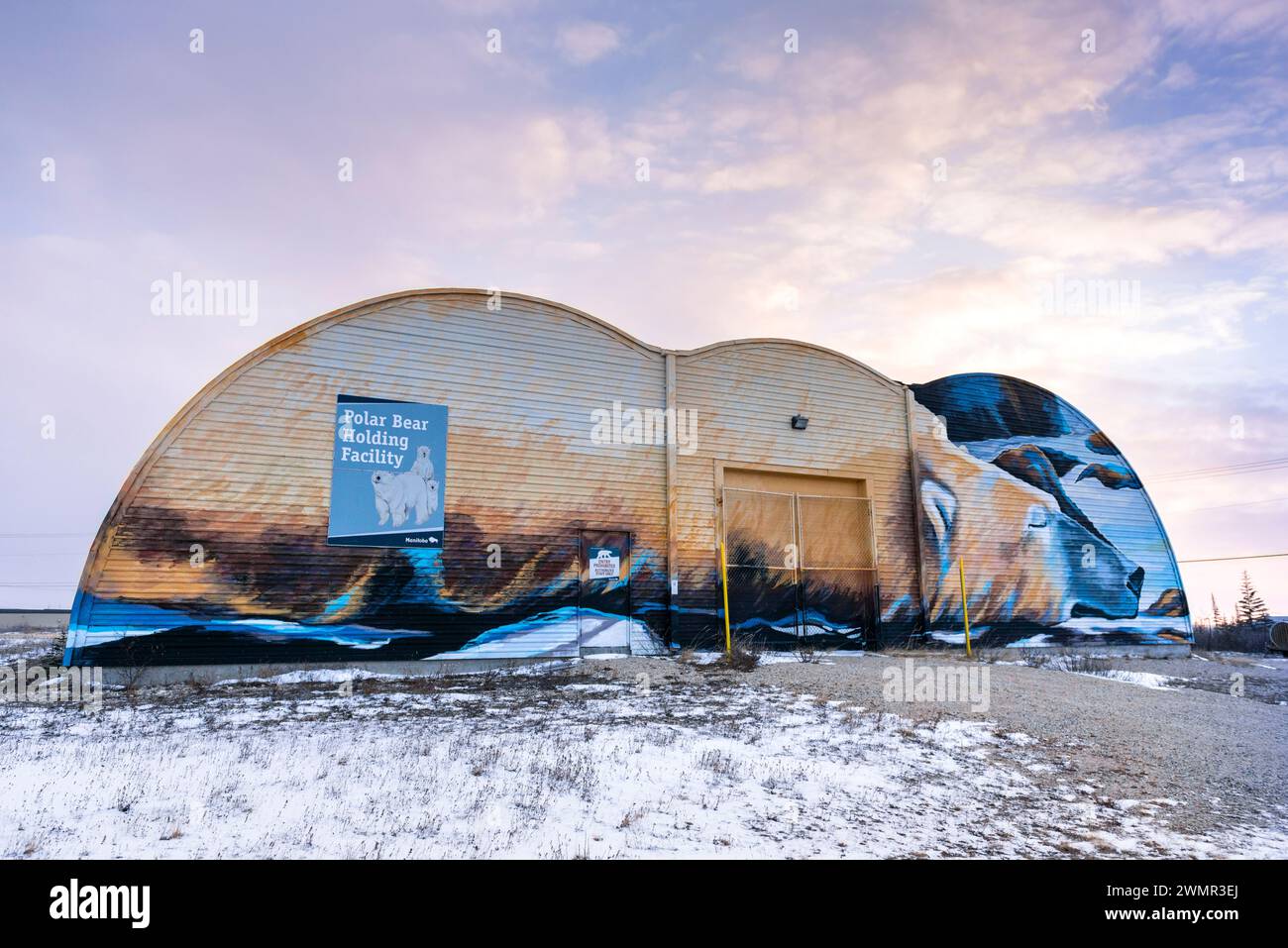 Un colorato murale del progetto Churchill sulle paludi decora l'esterno della struttura di detenzione degli orsi polari a Manitoba, Canada Foto Stock