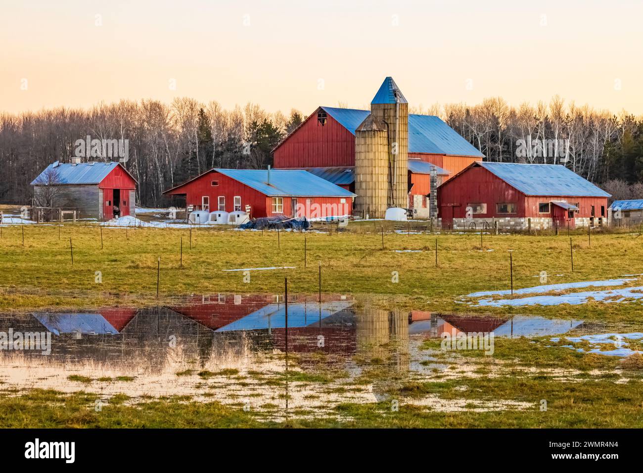 Fienile Amish durante un inverno scongelato a febbraio, Mecosta County, Michigan, USA [nessun rilascio di proprietà; solo licenze editoriali] Foto Stock