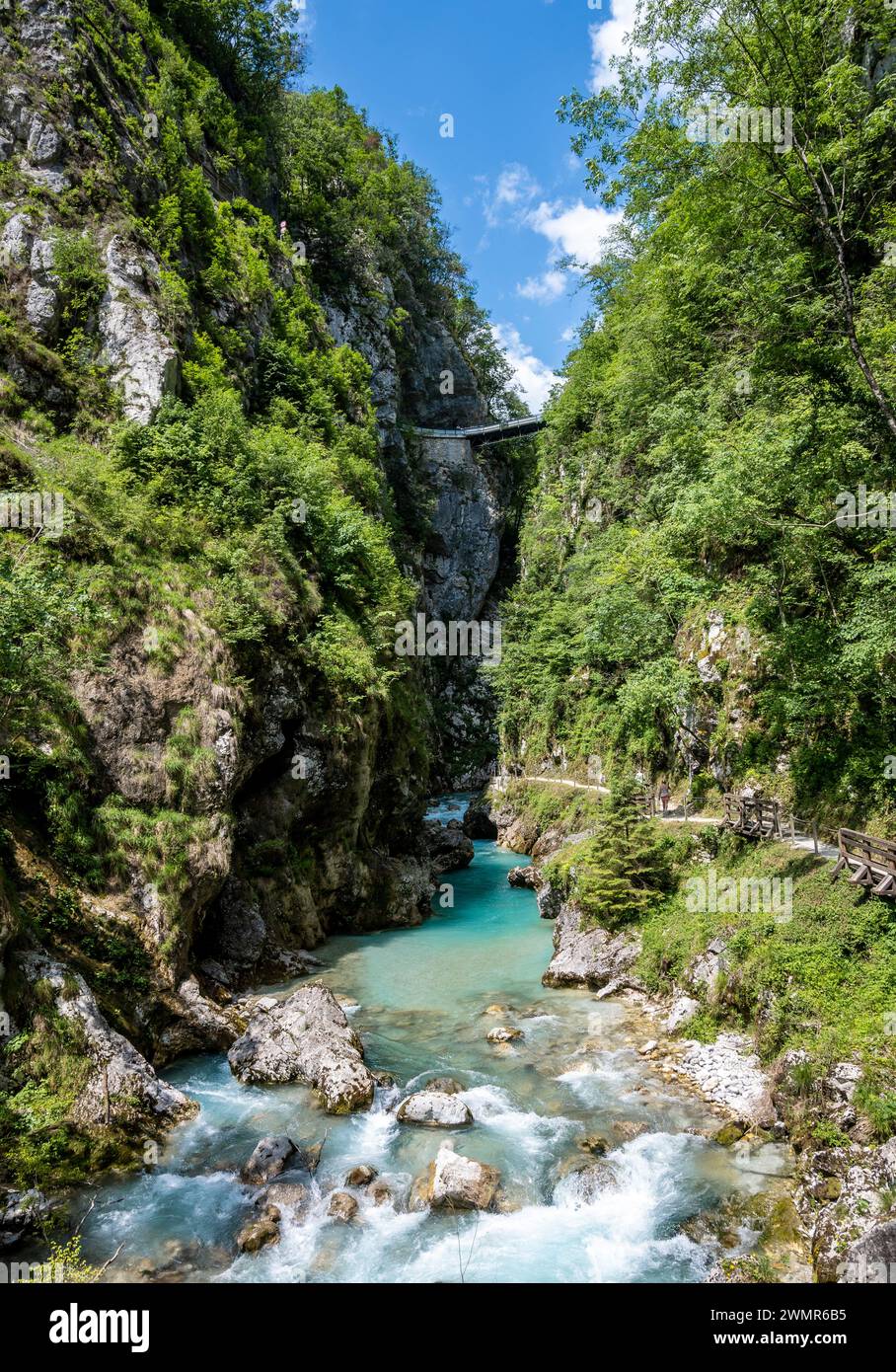 Ponte sospeso in alto sopra il canyon del fiume Soca, scavato in profondità nella regione delle Alpi slovene Foto Stock