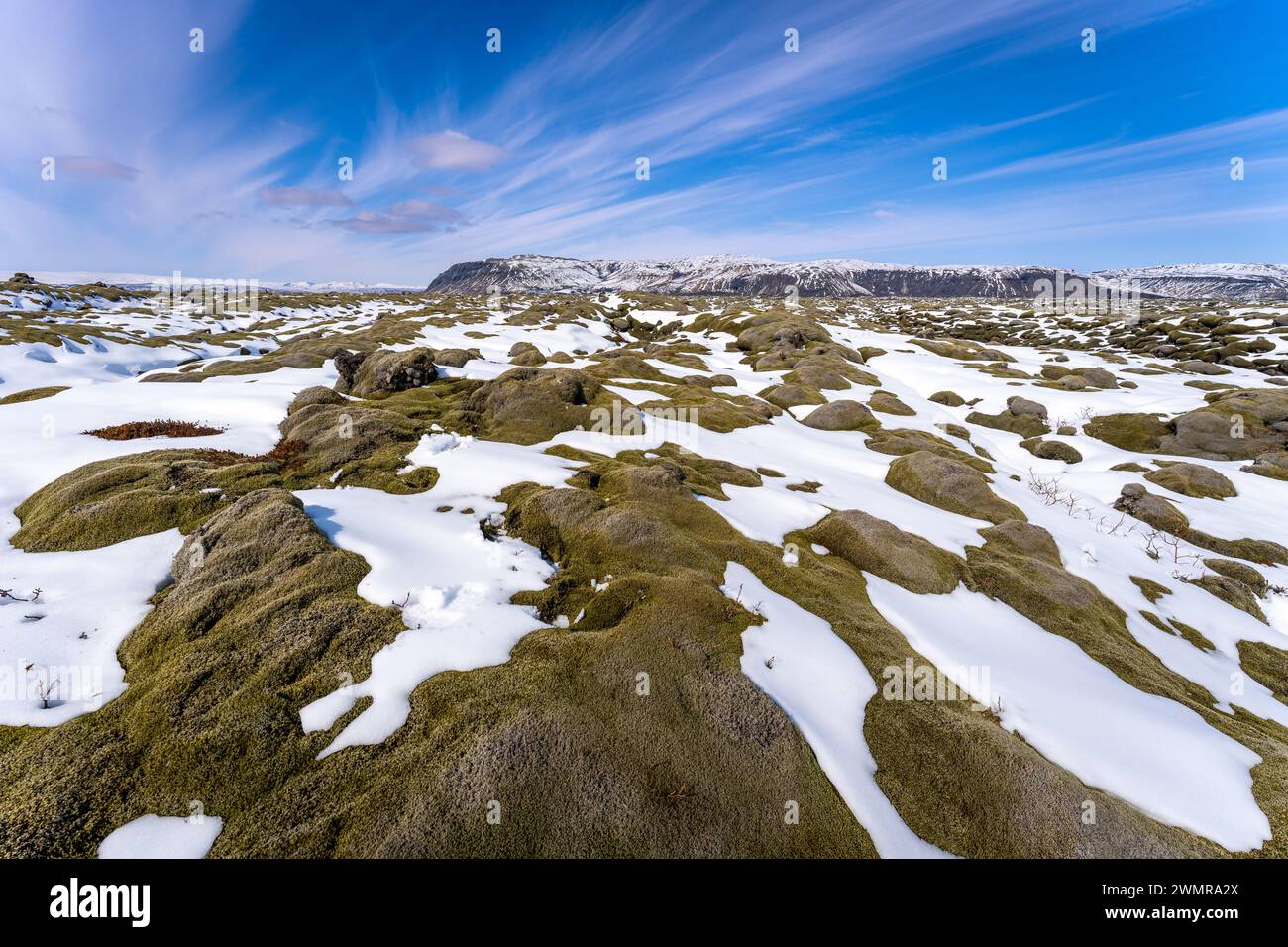 Campi di lava Mossy vicino a Eldhraun ricoperti di neve Foto Stock