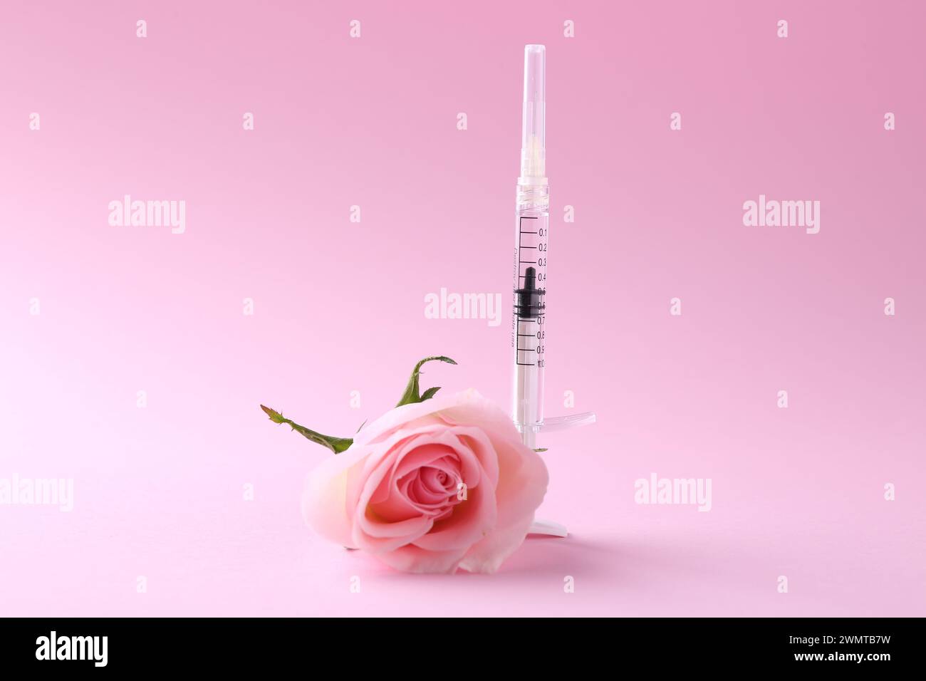 Cosmetologia. Siringa medica e fiore di rosa su sfondo rosa Foto Stock