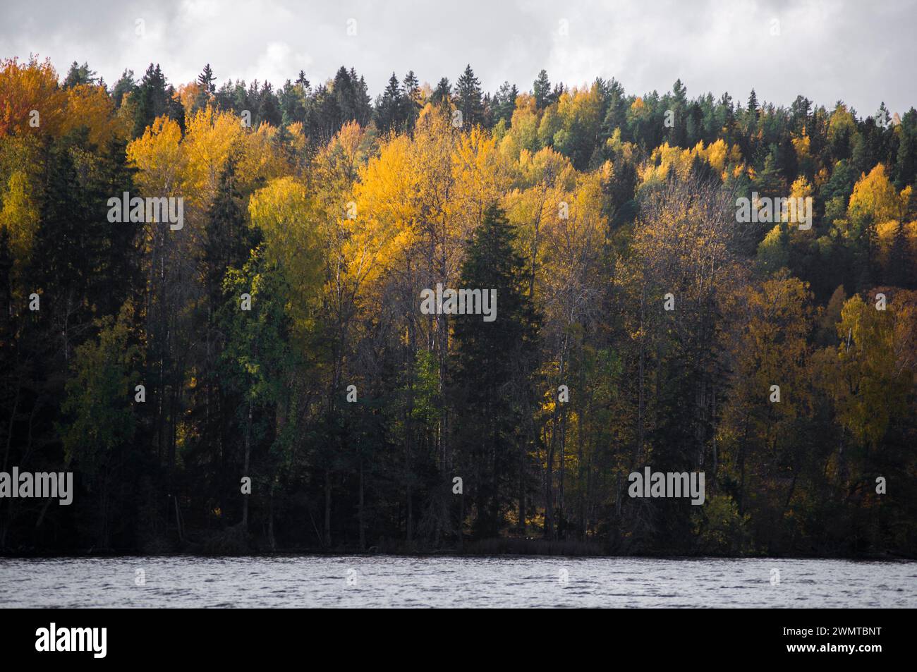 Parco nazionale di Nuuksio durante la bella stagione autunnale, Espoo, Finlandia Foto Stock