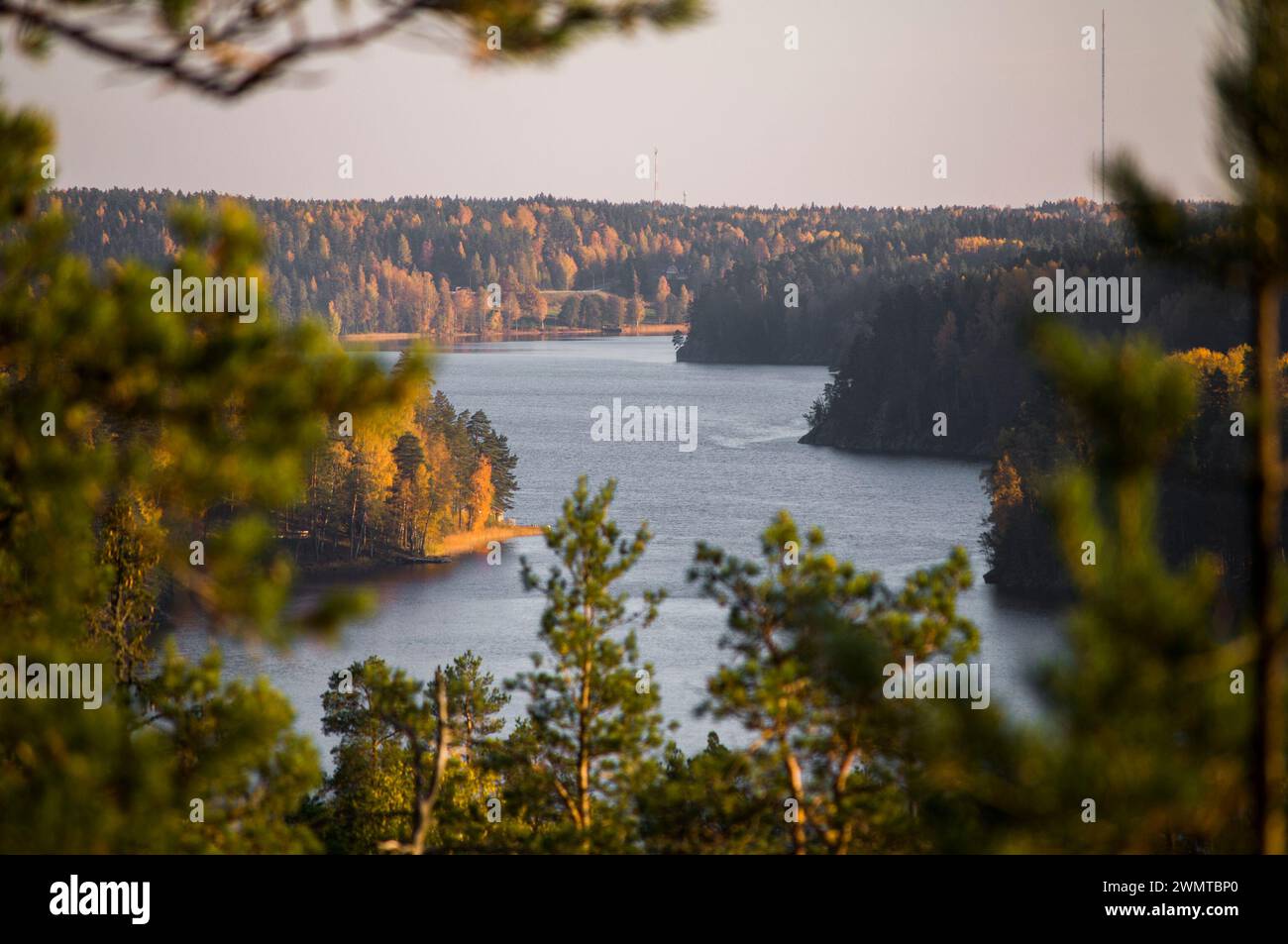 Parco nazionale di Nuuksio durante la bella stagione autunnale, Espoo, Finlandia Foto Stock