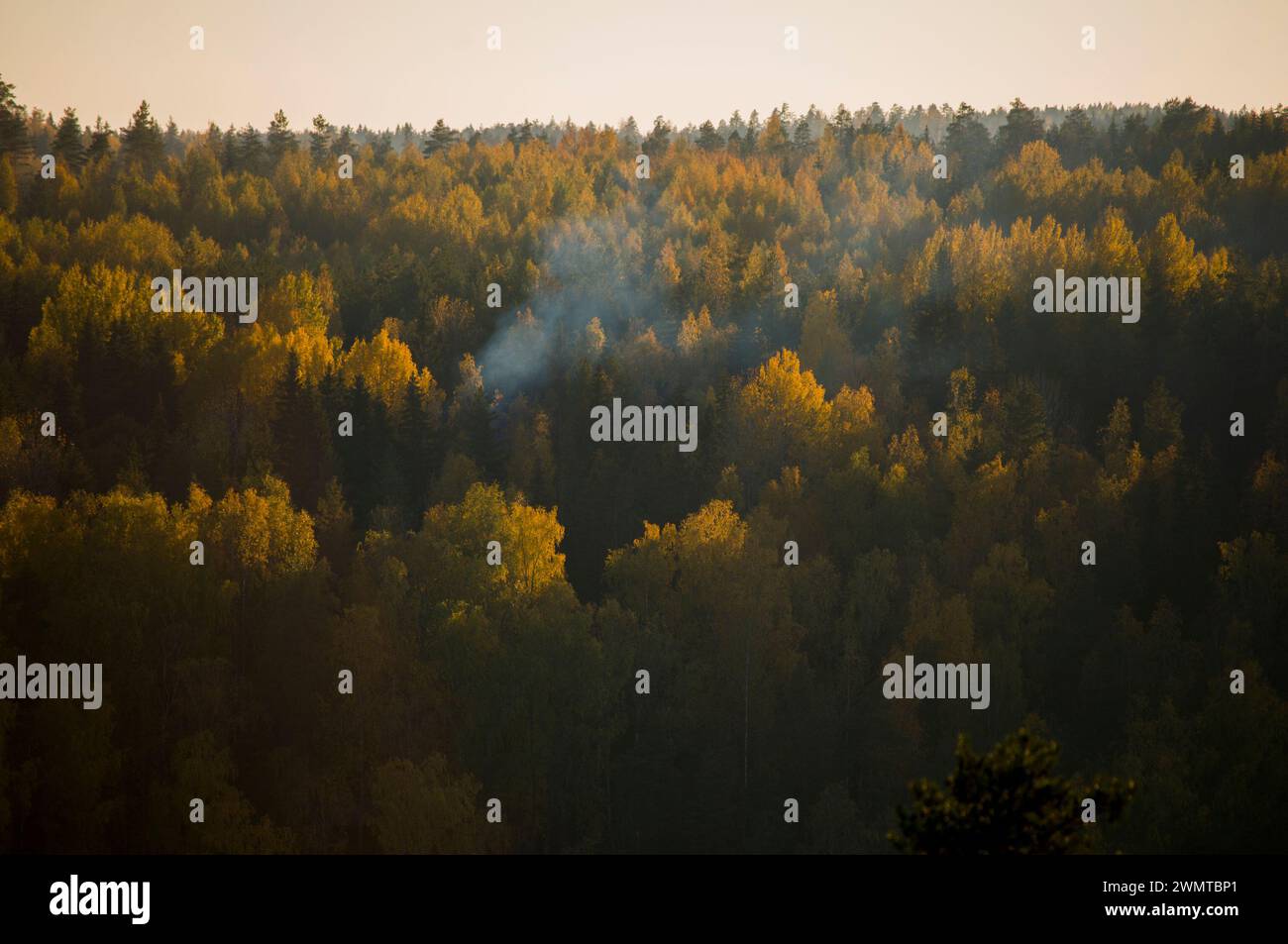 Parco nazionale di Nuuksio durante la bella stagione autunnale, Espoo, Finlandia Foto Stock