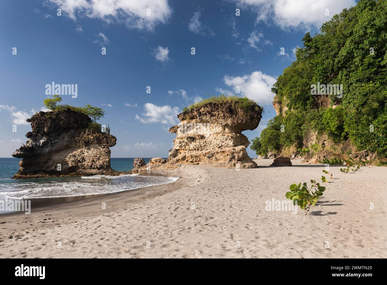 Questi St. Le formazioni rocciose di Lucia Caribbean Beach si trovano nella parte sud-occidentale dell'isola. Foto Stock