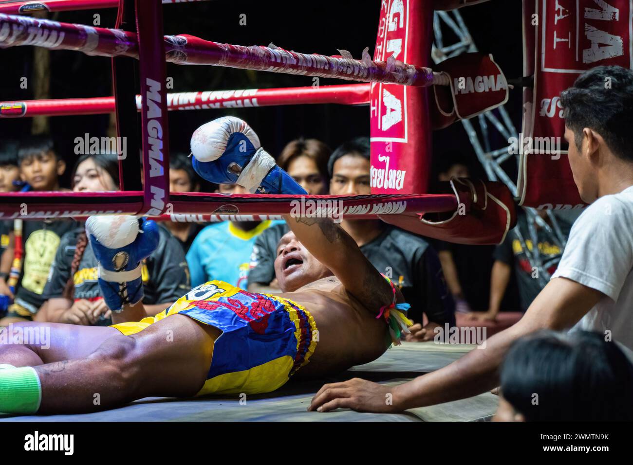 Koh Chang, Thailandia. 24 febbraio 2024. Il pugile tailandese Petch si nel, al centro, ha visto cercare di alzarsi dopo un knockout, visto dal pubblico, durante lo spettacolo settimanale Muay Thai Fights, organizzato dalla Koh Chang Fight School, sull'isola di Koh Chang. Il match di pugilato thailandese tra Frame Payak e Petch si nel è stato vinto da Frame Payak per KO. Credito: SOPA Images Limited/Alamy Live News Foto Stock