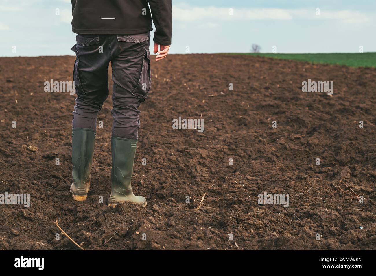 Agronomo maschio in piedi in un campo agricolo arato, vista posteriore Foto Stock