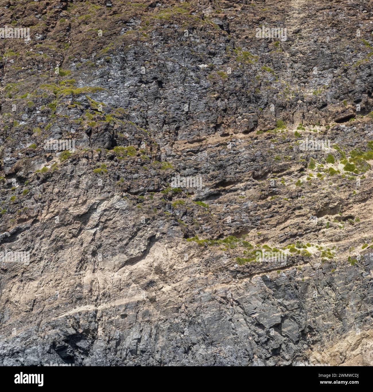 Superficie di roccia marina resistente agli agenti atmosferici. Sfondo della superficie delle pareti in pietra vulcanica invecchiata con crepe e graffi. Isola di Ischia, Italia. Foto Stock