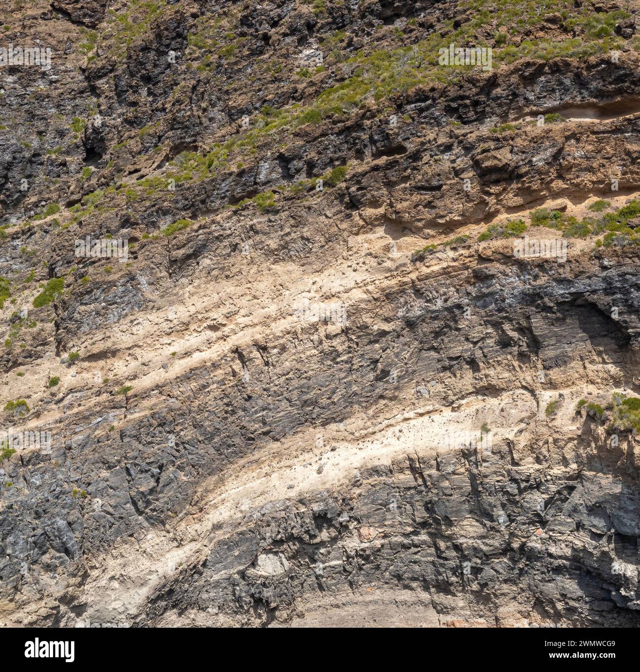 Superficie di roccia marina resistente agli agenti atmosferici. Sfondo della superficie delle pareti in pietra vulcanica invecchiata con crepe e graffi. Isola di Ischia, Italia. Foto Stock