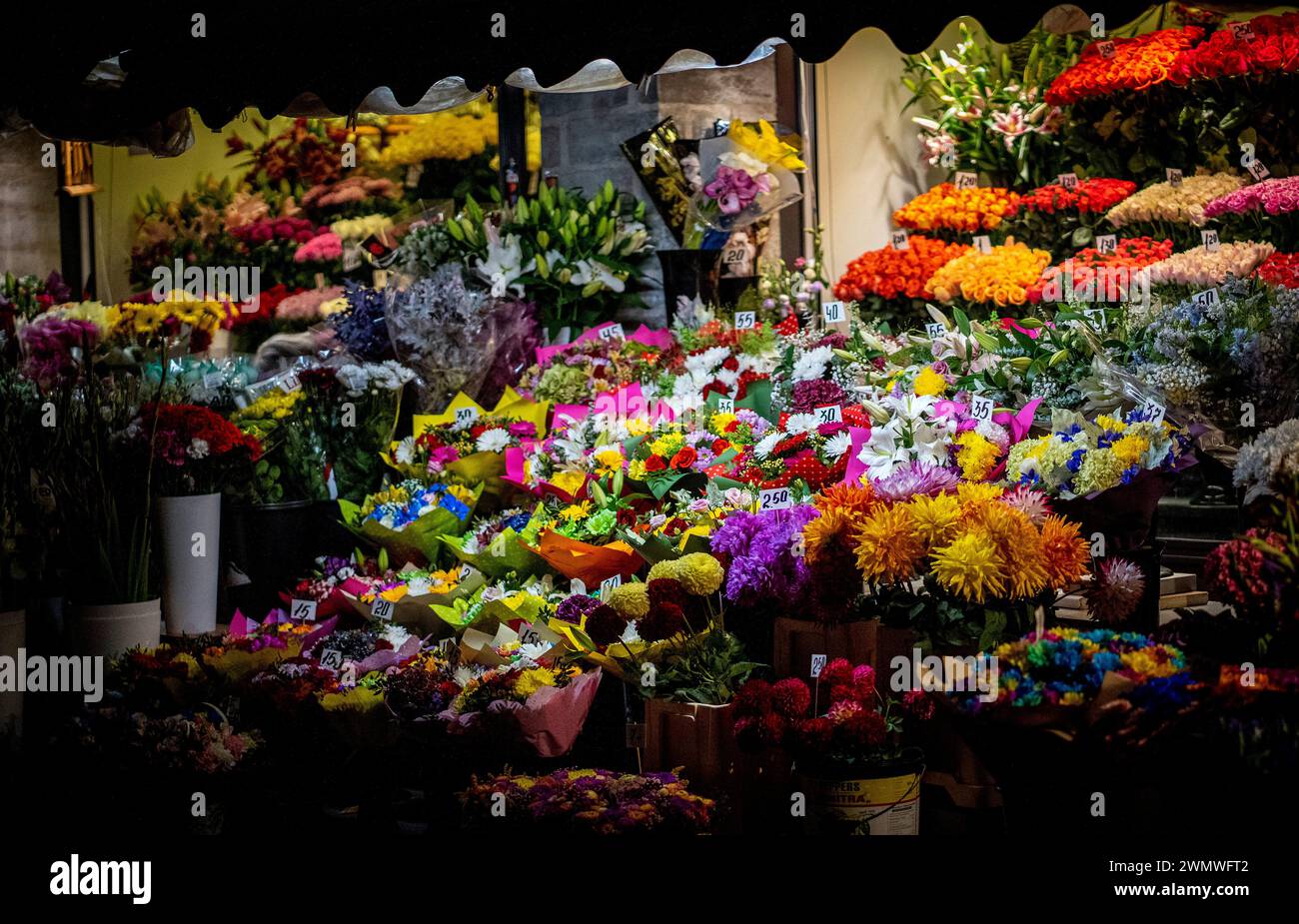 Un negozio di fiori nel centro storico di Tallinn Foto Stock