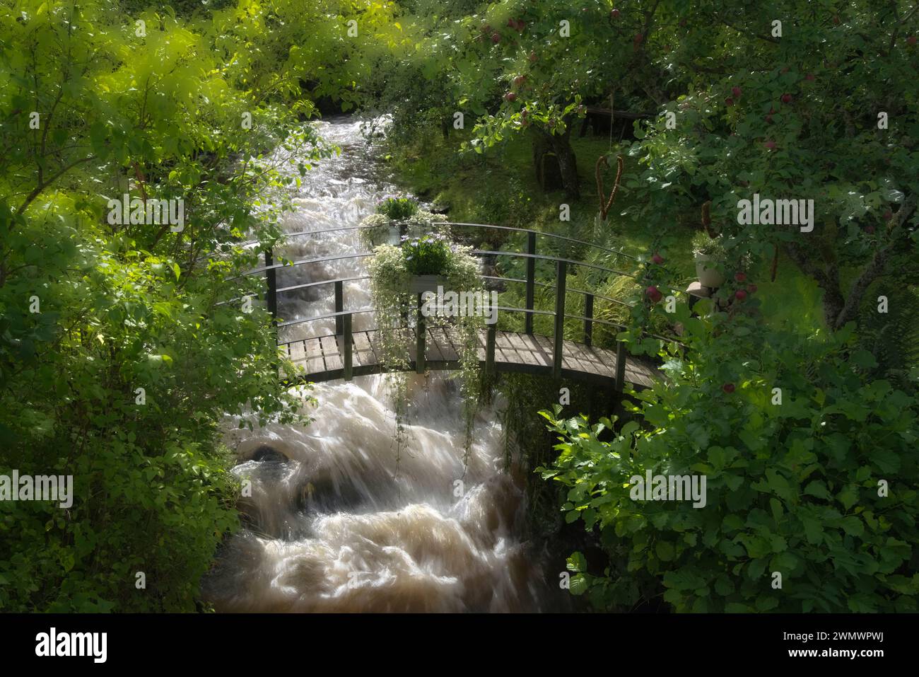 Röttle di Gränna Småland Foto Stock