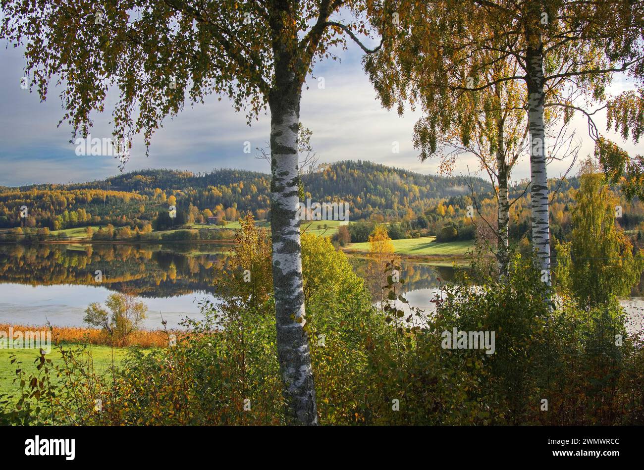 Nordingrå Ångermanland Svezia Foto Stock