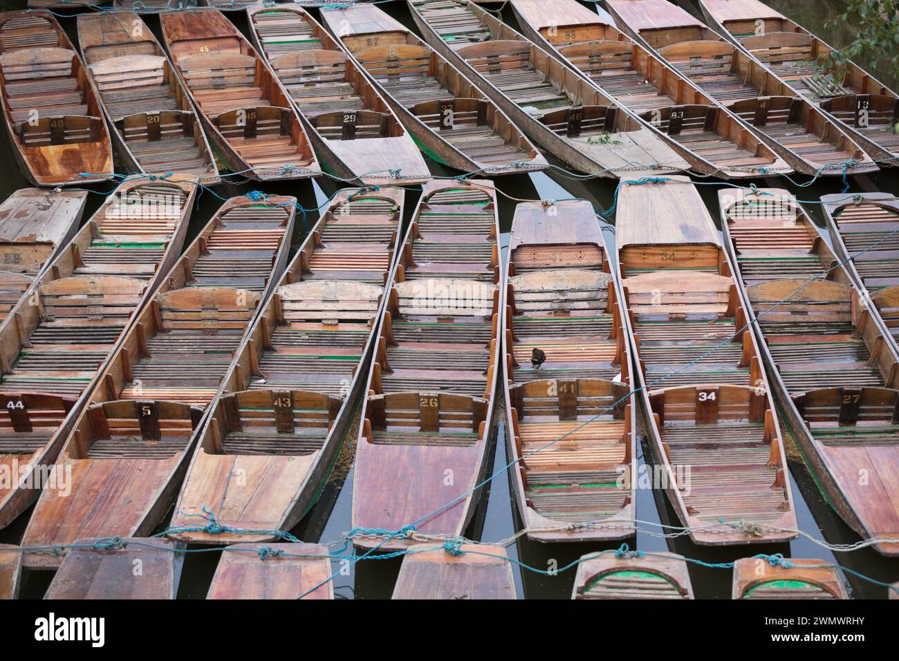 Punt sul fiume Cherwell, Oxford, Regno Unito. Foto Stock