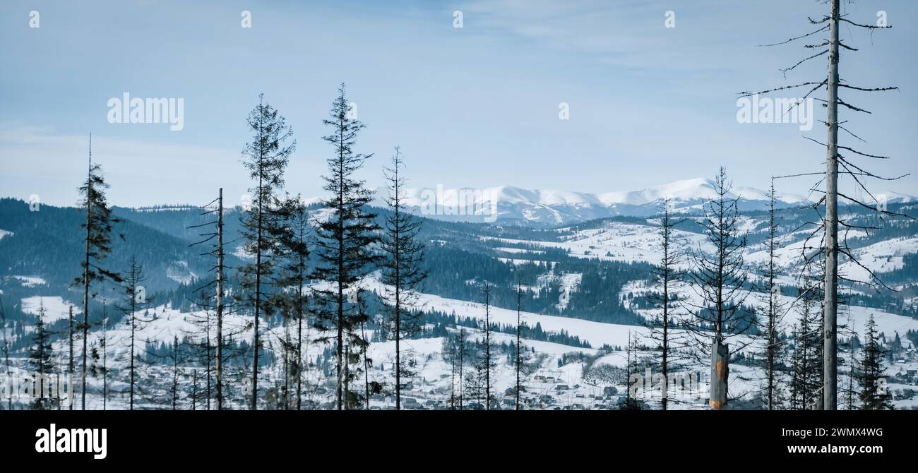 Bella montagna blu scuro nel paesaggio innevato con foresta. Panorama Foto Stock