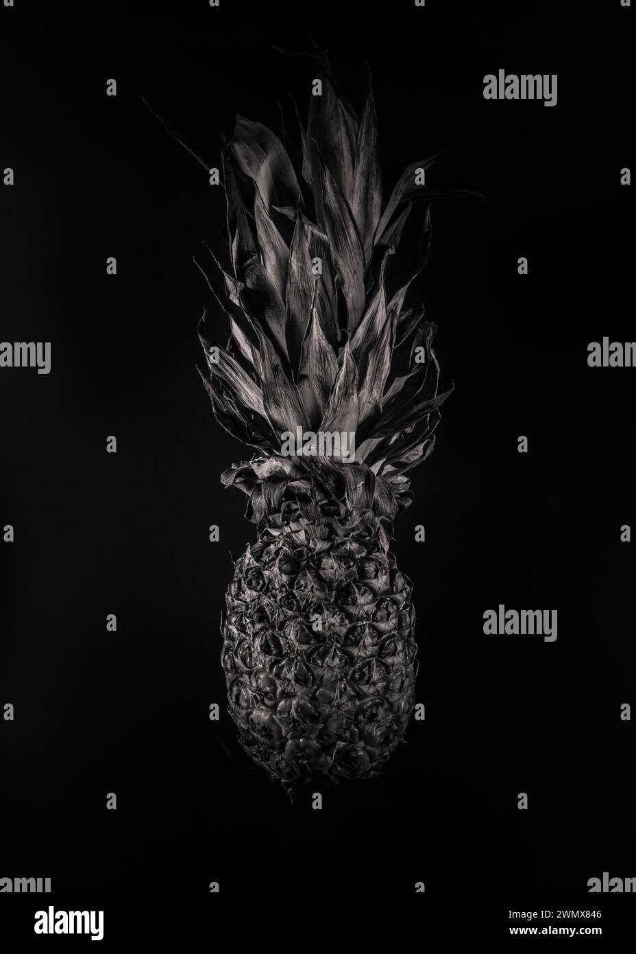 Una serie continua di foto in bianco e nero di frutta e verdura Foto Stock