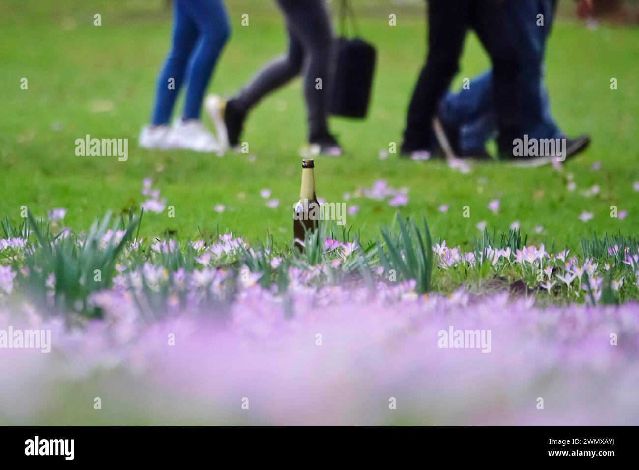 Peccato ambientale, bottiglia di birra vuota lasciata in un parco, Germania Foto Stock