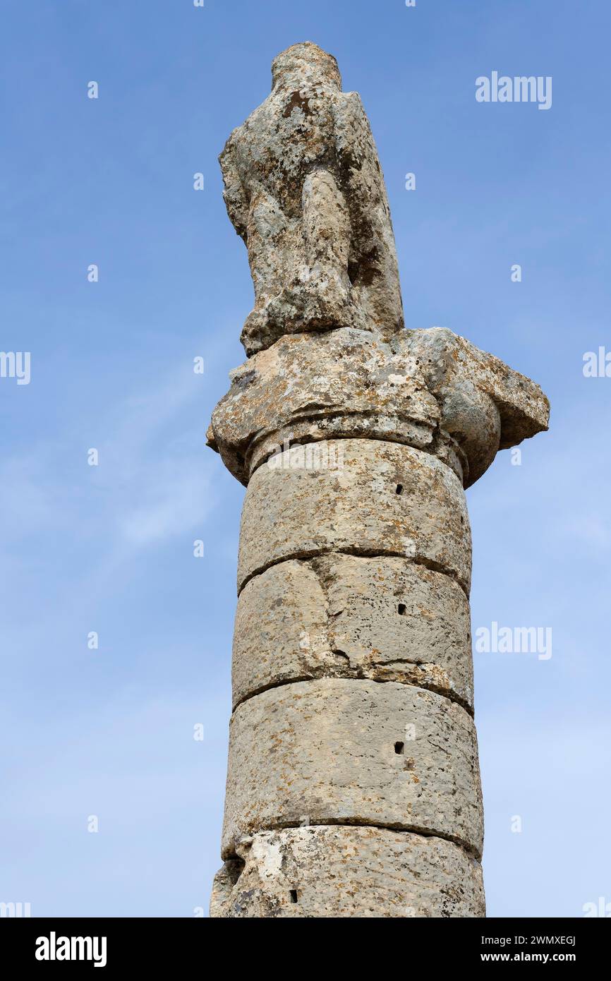 Karakus tumulus, colonna di Aquila, provincia di Adiyaman, Turchia Foto Stock