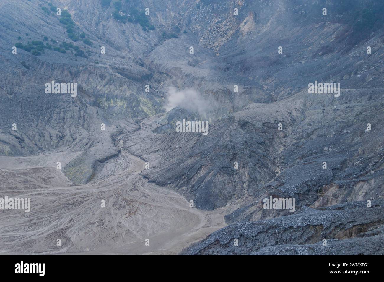 Un arido paesaggio vulcanico con cenere grigia e superfici rocciose erose sotto la nebbia, in Indonesia Foto Stock