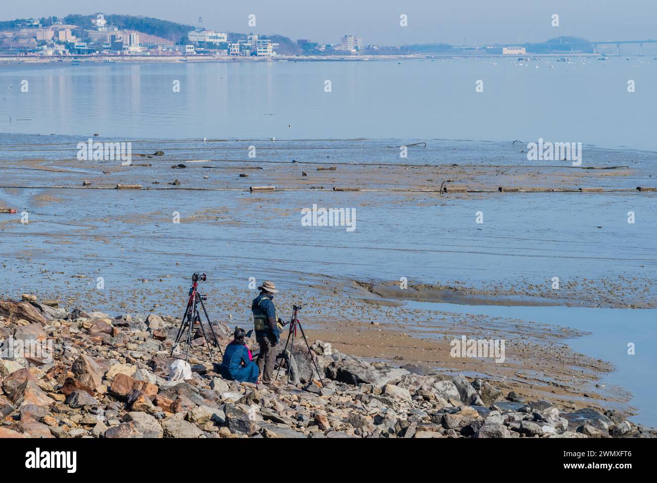 Fotografo con attrezzatura che cattura il tranquillo paesaggio di una costa rocciosa e di pianure fangose, a Pyteakeong, Corea del Sud Foto Stock