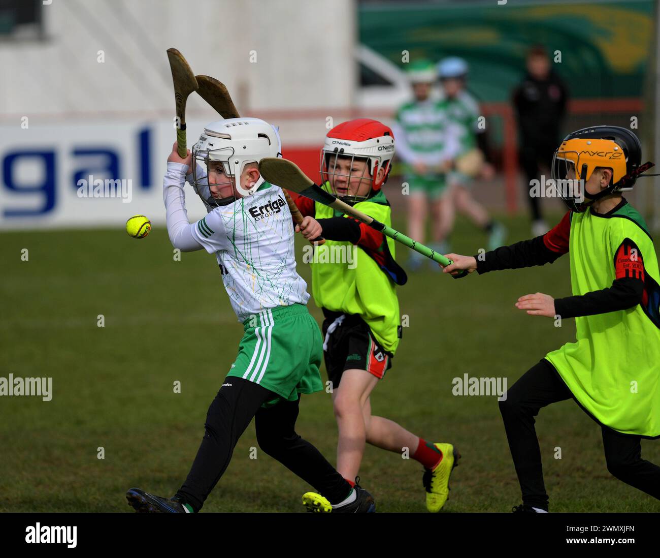 I bambini delle scuole primarie dei club Doire Trasna e Faughanvale GAA giocano a correre nel Celtic Park, Derry. Foto: George Sweeney/Alamy Foto Stock