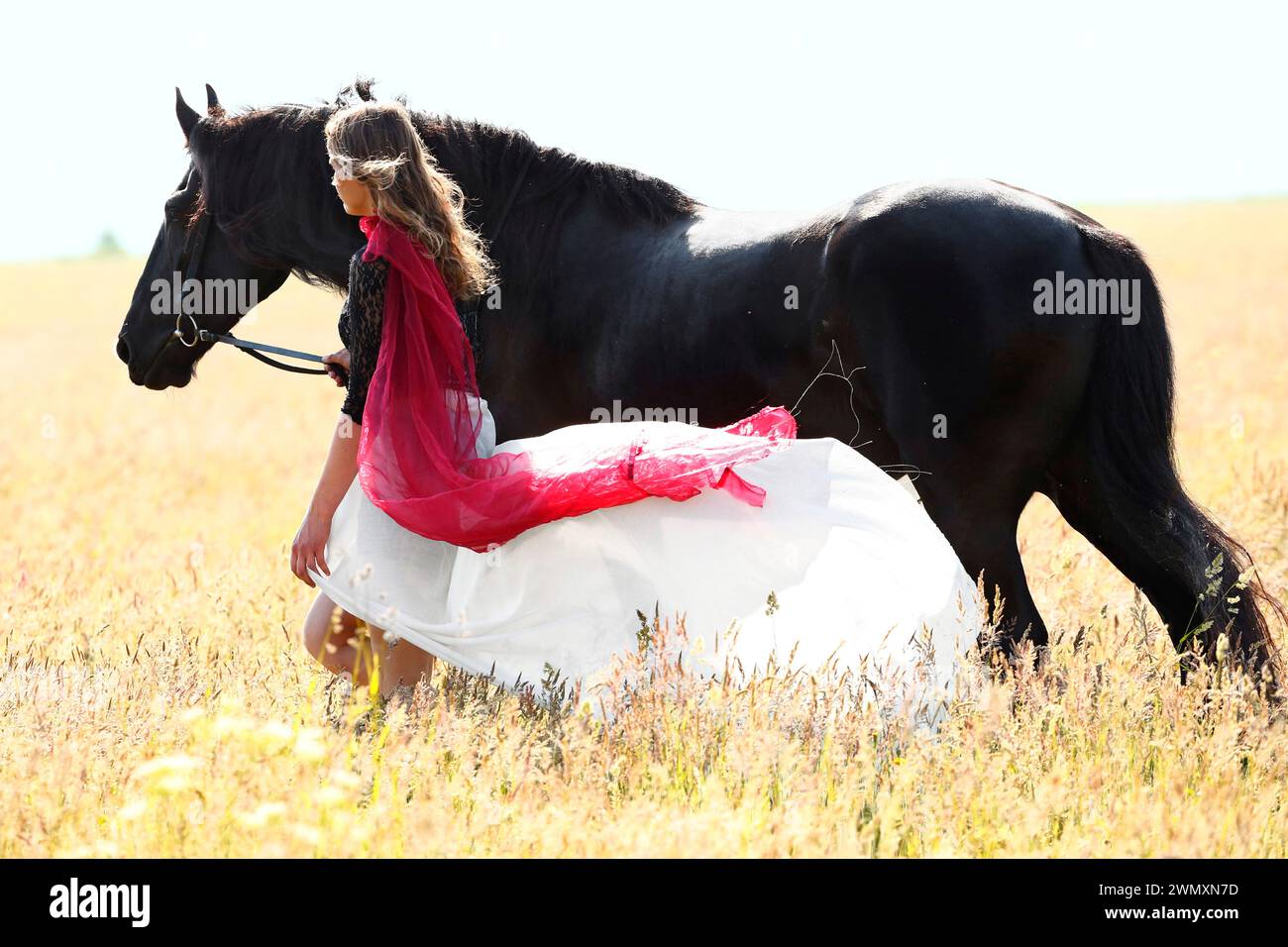 Cavallo friesiano. Jana Baade in un vestito bianco che cammina con il suo nero gelding in canna. Germania Foto Stock