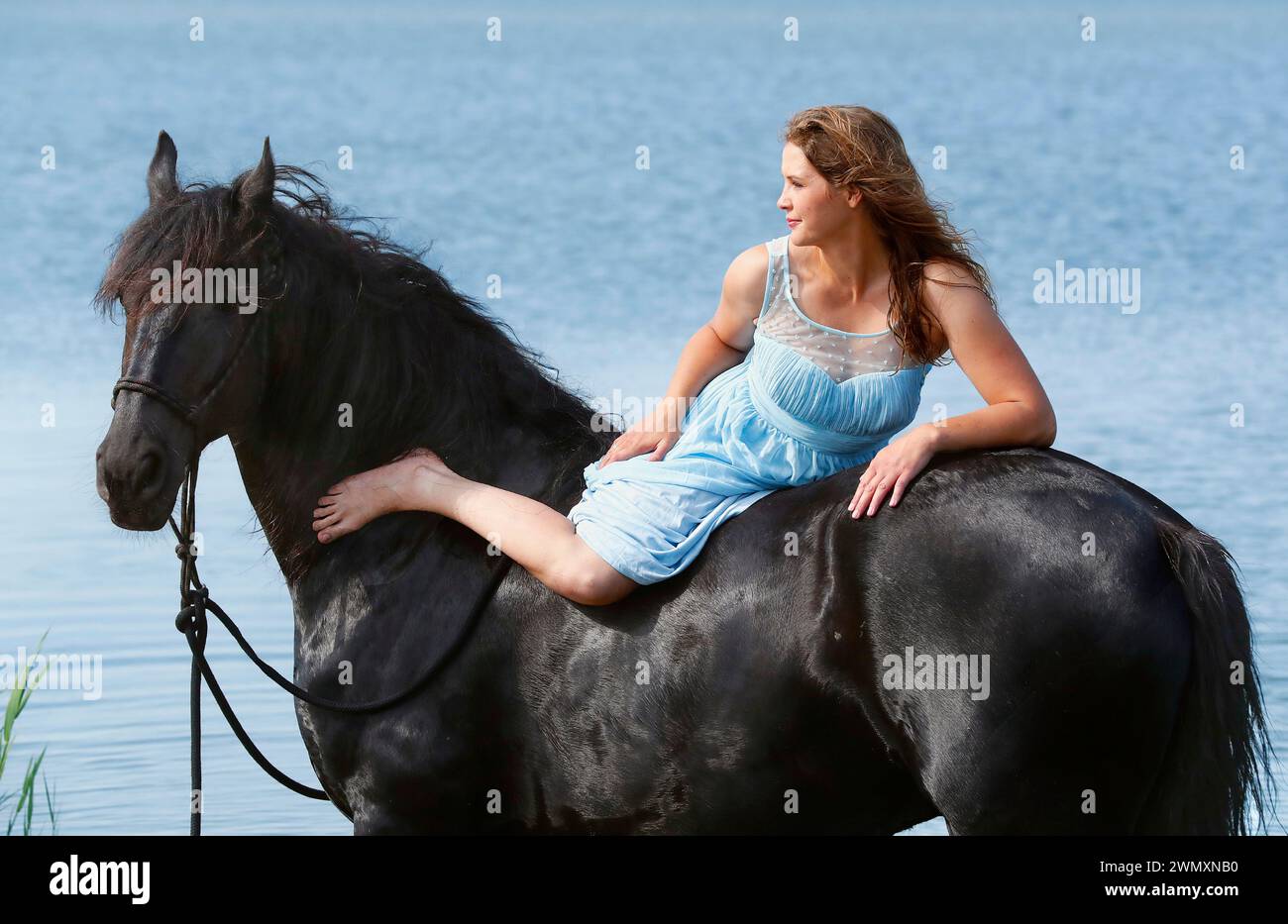 Cavallo friesiano. Jana Baade giace sul suo Nero gelante davanti all'acqua. Germania Foto Stock