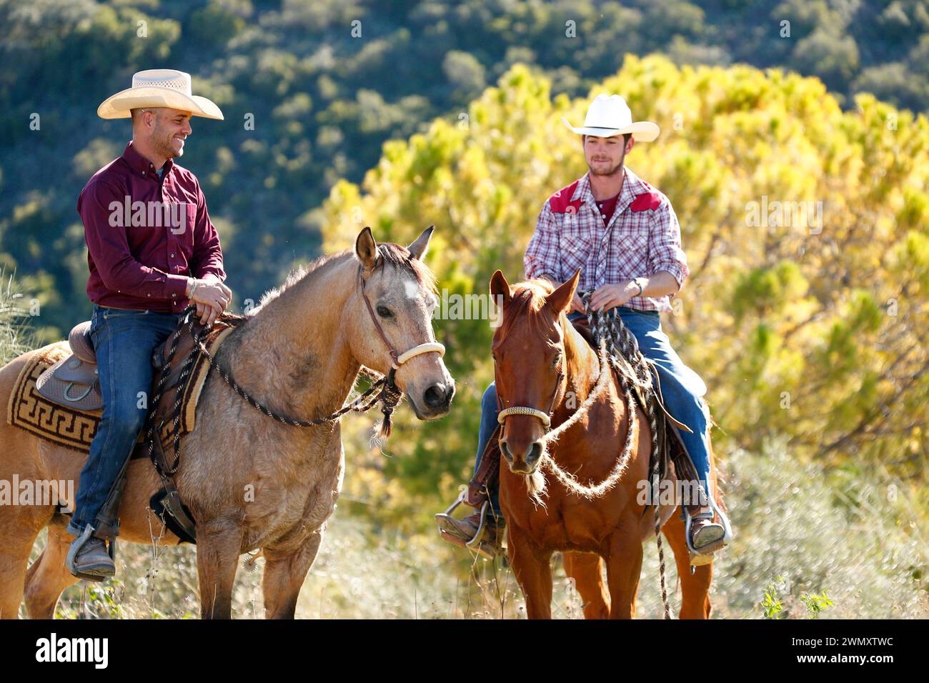 Due Cowboys che cavalcano i loro Quarterhorse nell'entroterra. Andalusia, Spagna Foto Stock