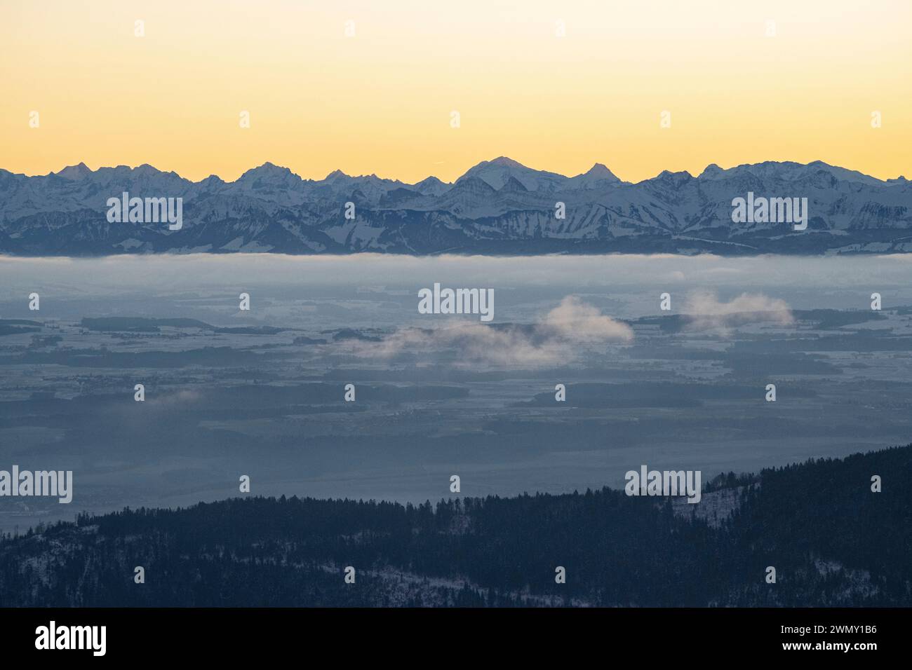 Francia, Doubs, Longevilles-Mont-d'Or, catena montuosa del Giura, parco naturale regionale di Haut Jura, vetta del Mont d'Or (1462 m), vista sul cantone di Vaud e sulle Alpi Valaisane Foto Stock