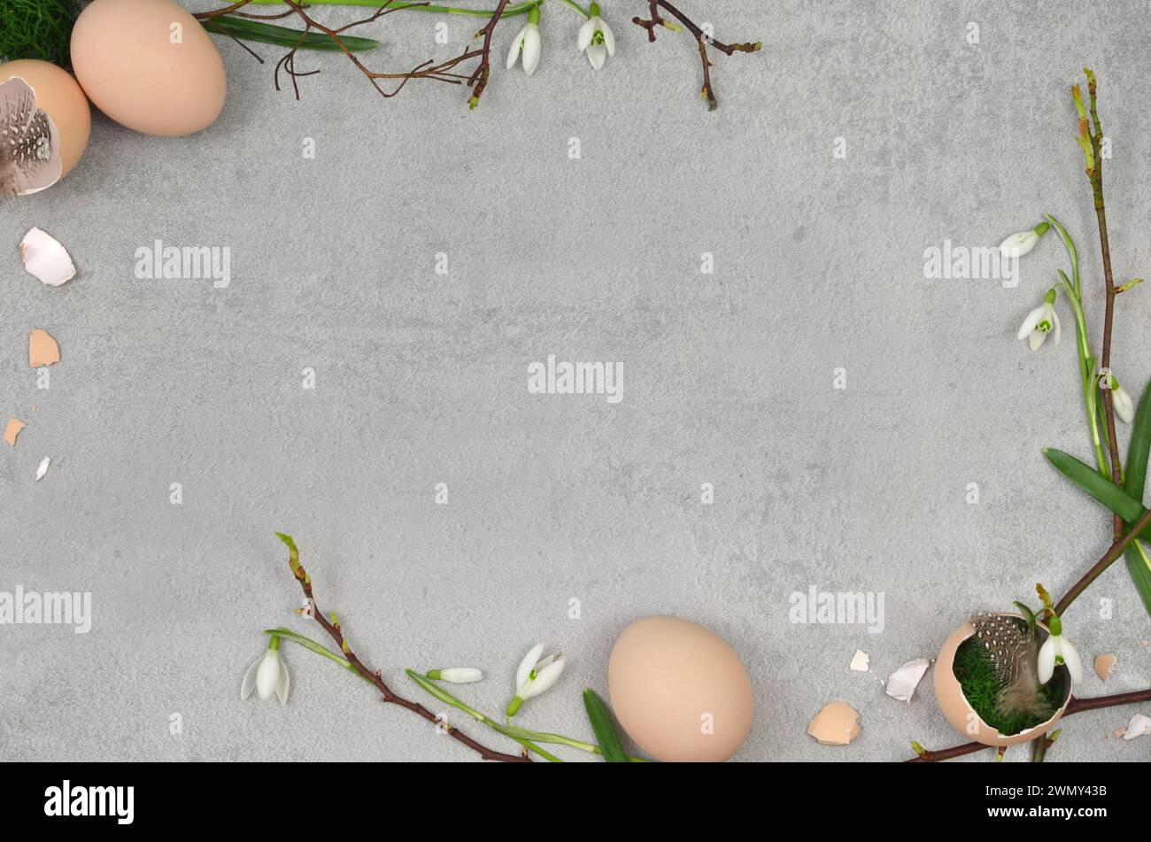 Pasqua, cornice primaverile fatta di rami, foglie, conchiglie d'uovo, fiori, piume con spazio vuoto per riempire il testo. Foto Stock