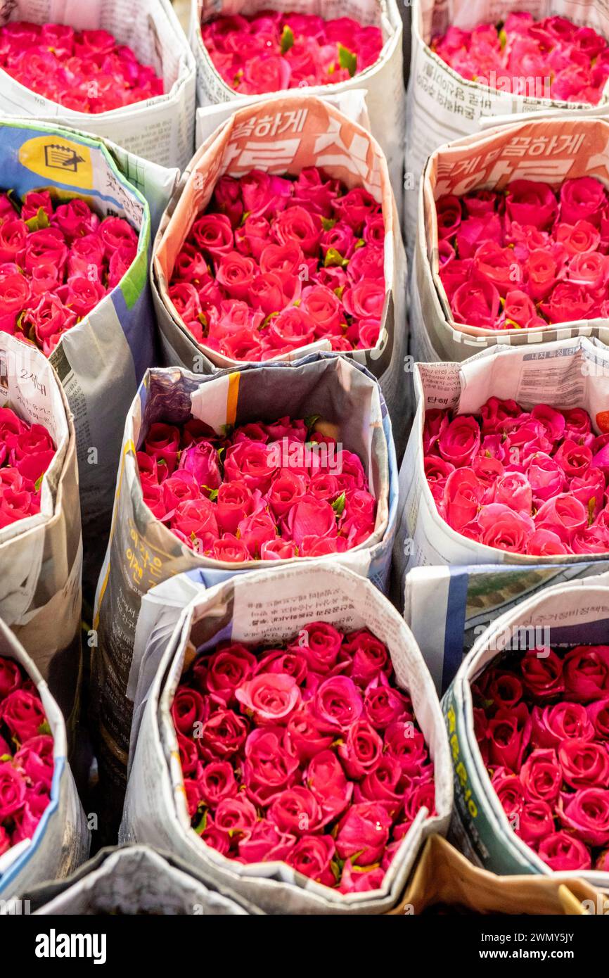 Thailandia, Bangkok, mercato dei fiori di Pak Klong Talad Foto Stock