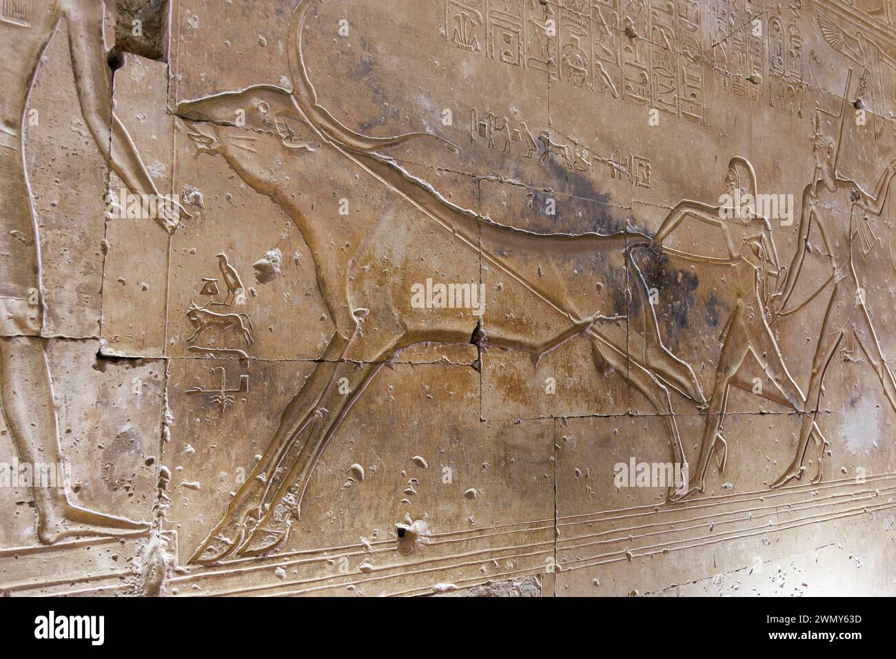 Egitto, Sohag, Abydos, Abydos, città di pellegrinaggio dei faraoni dichiarata Patrimonio dell'Umanità dall'UNESCO, tempio di Seti i, bassorilievo di un toro Foto Stock