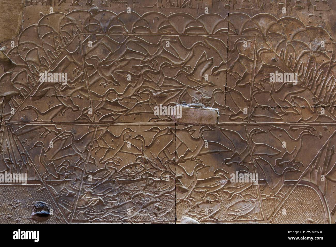 Egitto, Sohag, Abydos, città di pellegrinaggio dei faraoni dichiarata Patrimonio dell'Umanità dall'UNESCO, tempio di Seti i, bassorilievo di molte anatre Foto Stock