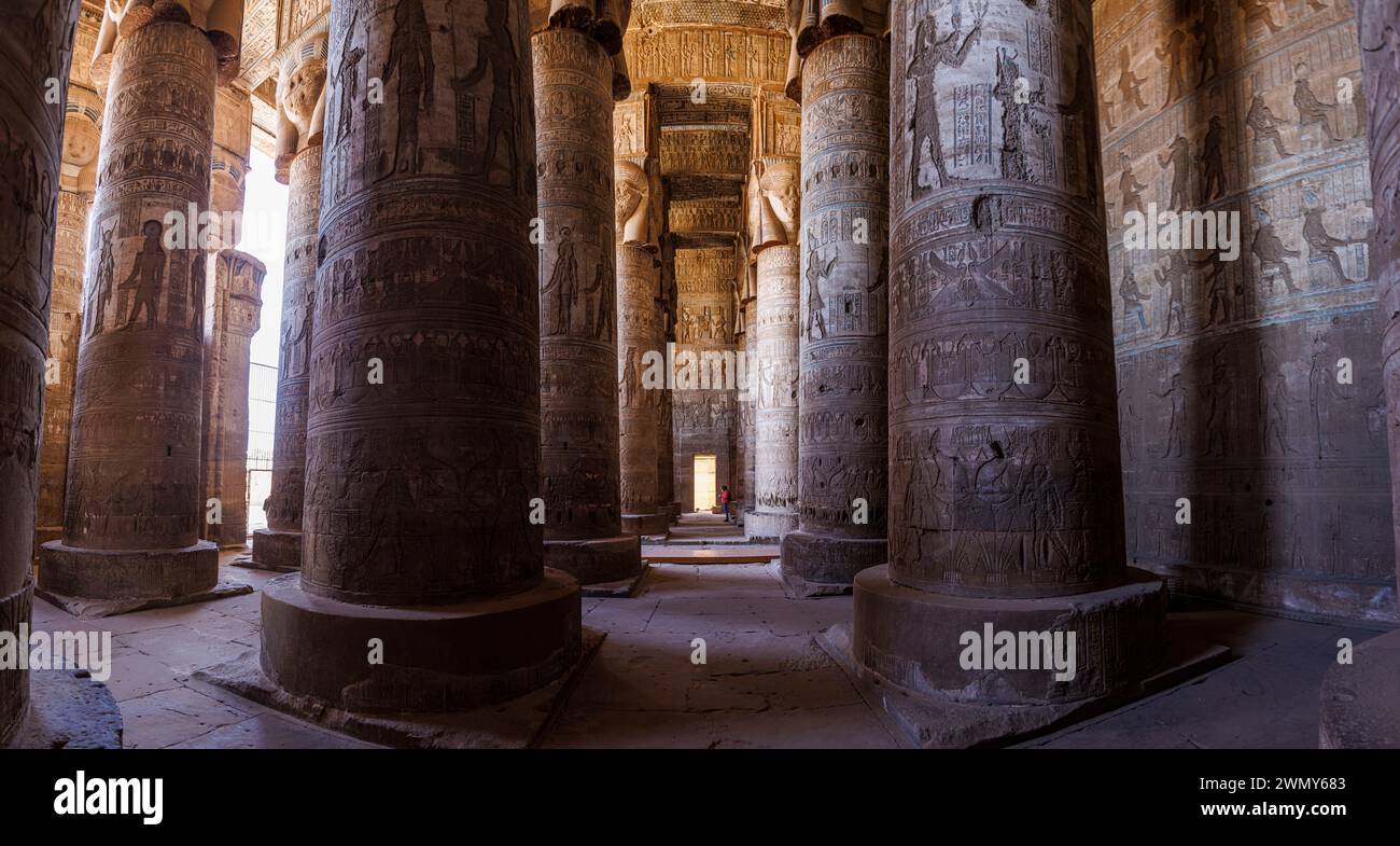 Egitto, Qena, Dendera, templi faraonici nell'alto Egitto dal periodo tolemaico e romano, patrimonio dell'umanità dall'UNESCO, tempio di Hathor, sala ipostila Foto Stock